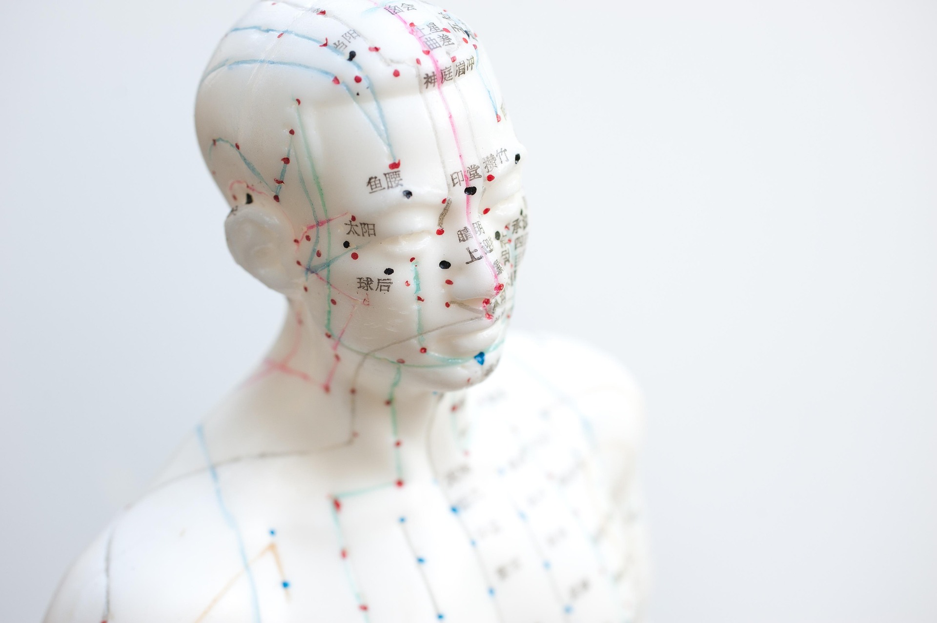 An acupuncture model showing points along the body