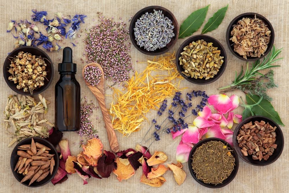 Chinese herbal medicine ingredients